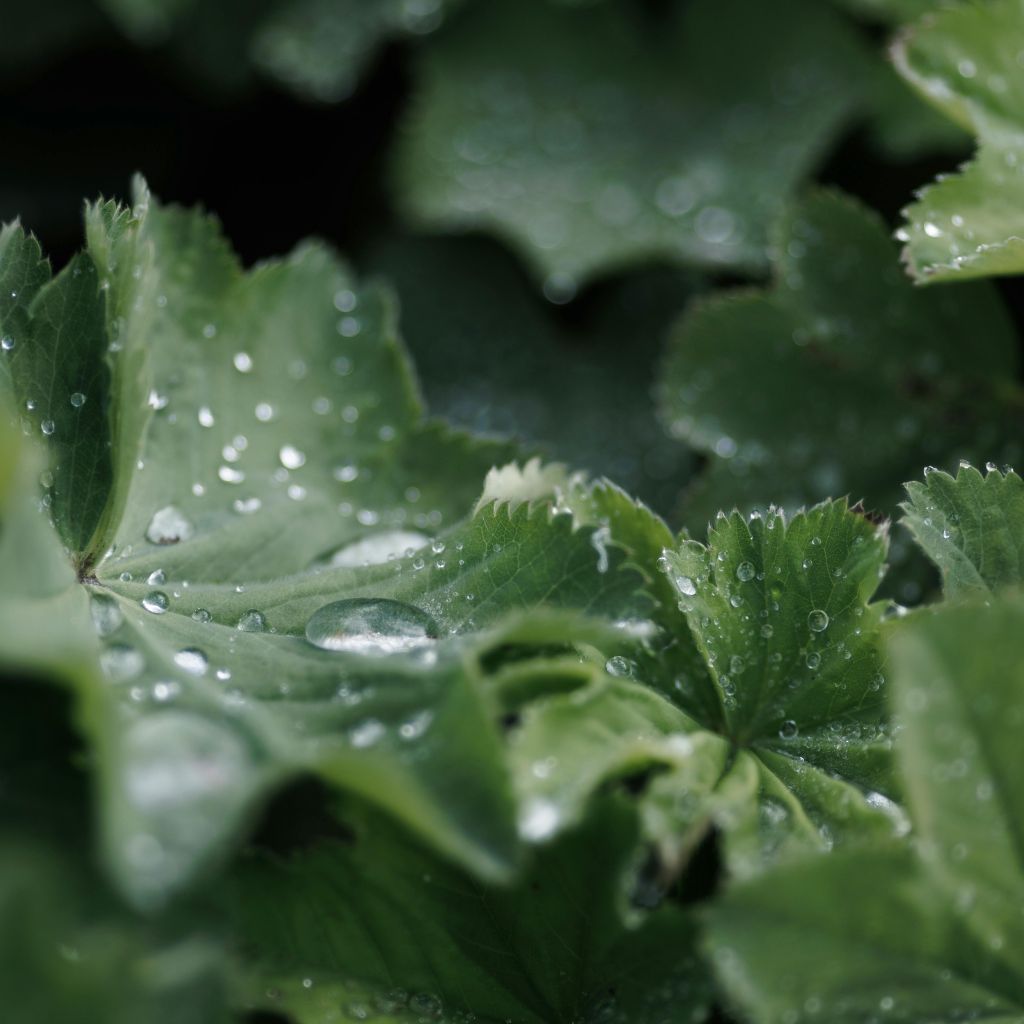 Návrh bez názvu (42)